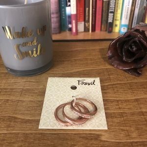 Set of Three Fossil Rings